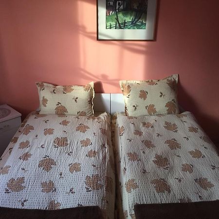 Becze Vanda Kulcsoshaz Lăzarea Buitenkant foto