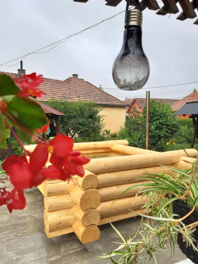 Becze Vanda Kulcsoshaz Lăzarea Buitenkant foto