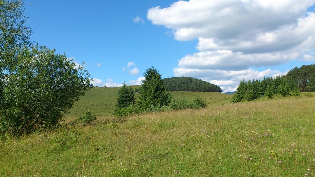 Becze Vanda Kulcsoshaz Lăzarea Buitenkant foto